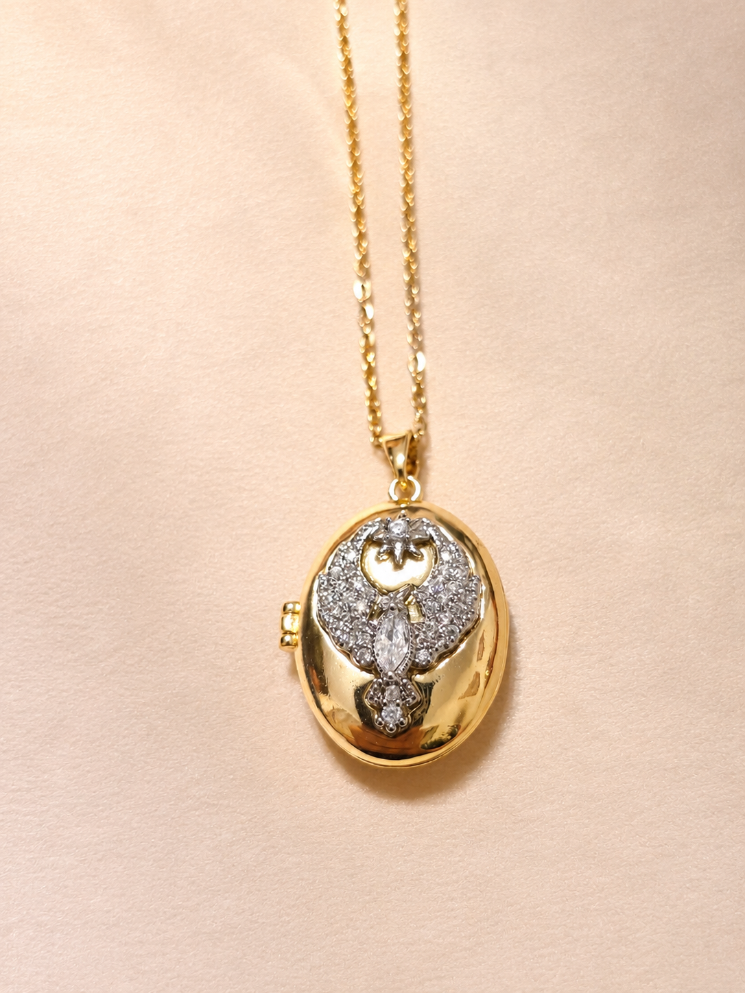 The Mocking Jay Locket Necklace